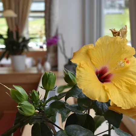 Hotel Kleissl 4*