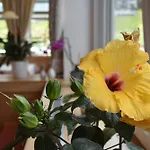 Hotel Kleissl 4*