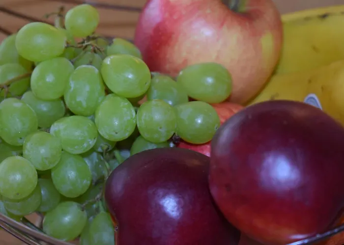 Kleissl Ξενοδοχείο